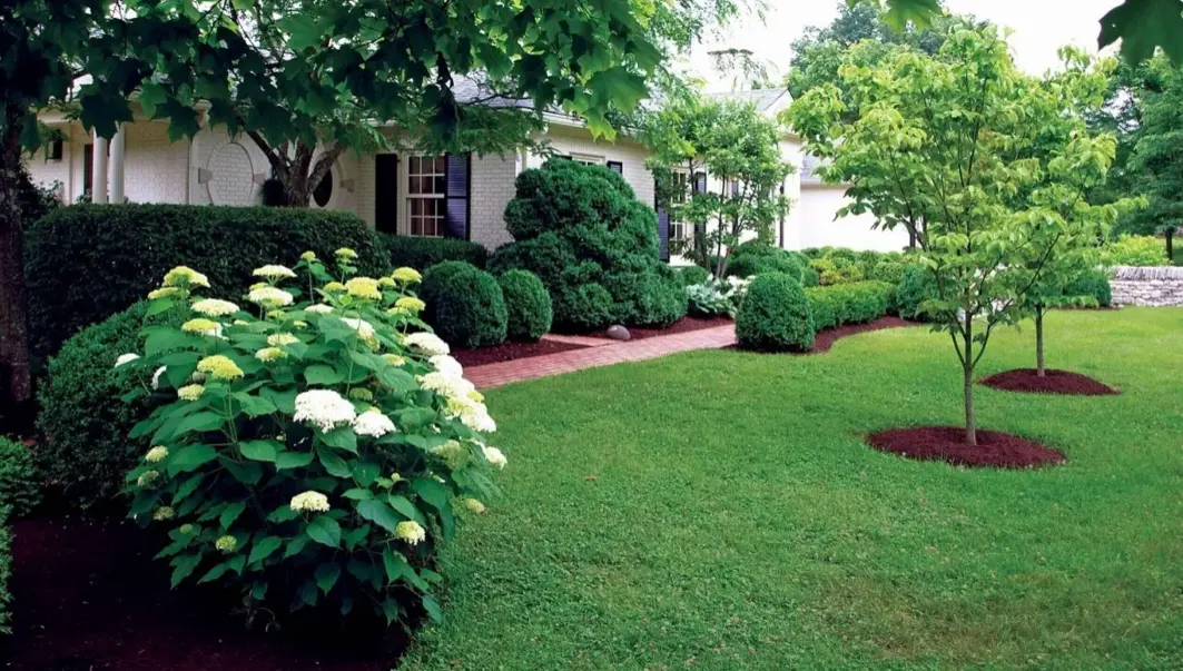 Summer Breeze Lawn Care property in Mansfield, Texas